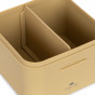 Lunch box small - SKATEOSAURUS