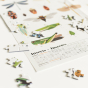 Puzzle insectes - 500 pcs - Poppik