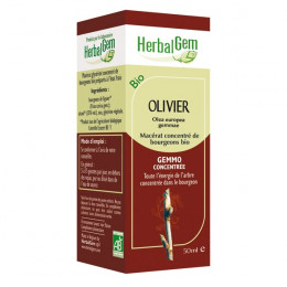 Olivier Macérat concentré de bourgeons Bio 50 ml