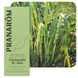 Huile essentielle de Citronnelle de Java 10 ml  - Pranarôm