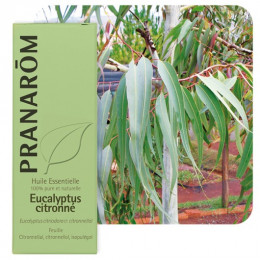 Huile essentielle d'Eucalyptus citronné 10 ml  - Pranarôm