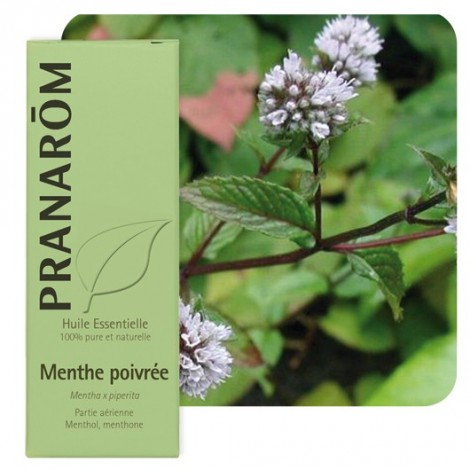 Huile essentielle de Menthe poivrée - 10 ml Huile essentielle de Menthe poivrée - 10 ml