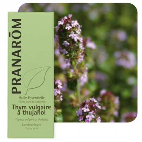 Huile essentielle de Thym thujanol 5 ml Huile essentielle de Thym thujanol 5 ml