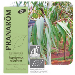 Huile essentielle d'Eucalyptus citronné BIO 10 ml