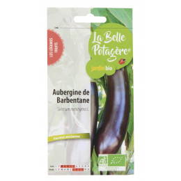 Aubergine de Barbebtane 0,15g - Solanum melongena L.