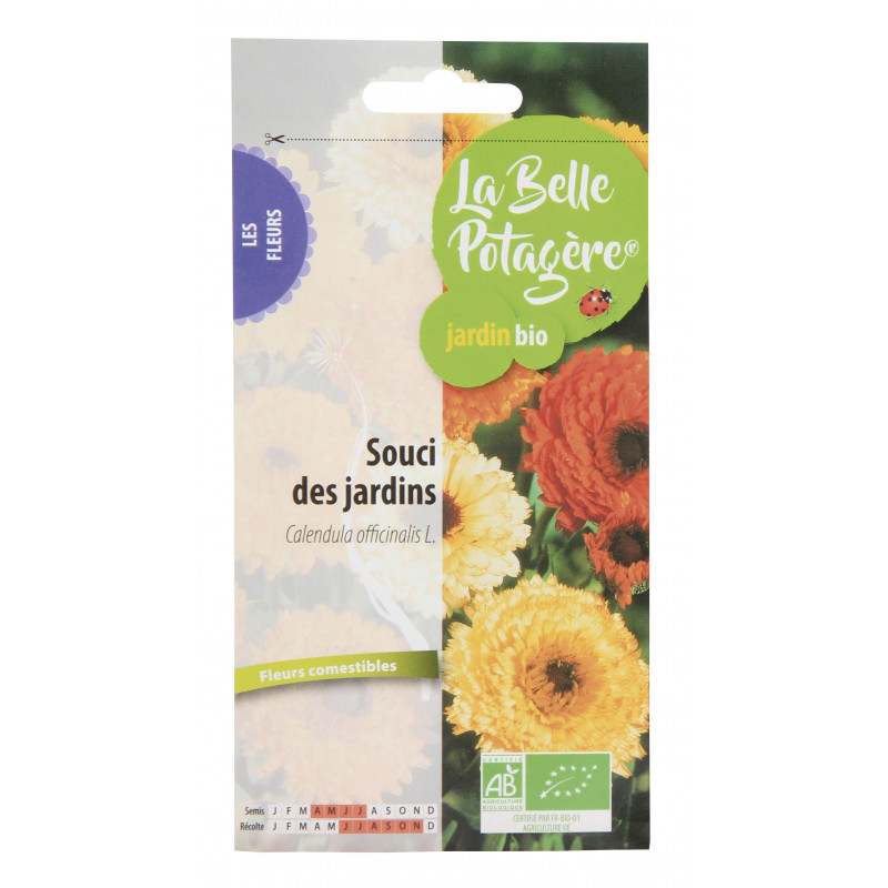 La Belle Potagère - Souci des jardins - Calendula afficinalis L. - Sebio