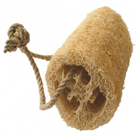 Luffa pour le bain Luffa pour le bain