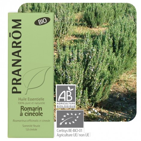 Huile essentielle de Romarin cinéole BIO - 10 ml Huile essentielle de Romarin cinéole BIO - 10 ml