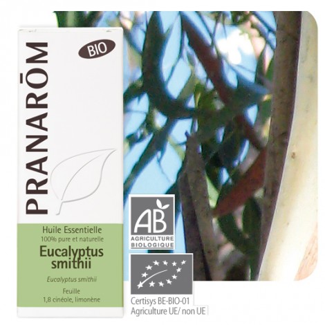 Huile essentielle d'Eucalyptus smithii BIO - 10 ml 