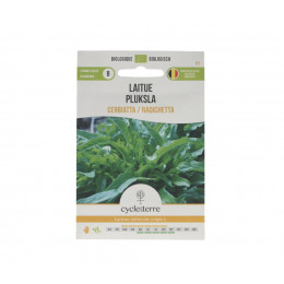 Laitue Cerbiatta / Radichetta - 0,50 g