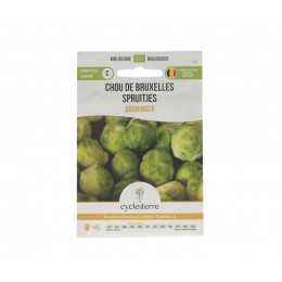 Chou de Bruxelles Groninger - 0,50 g