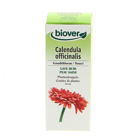 Calendula Officinalis - Souci - Teinture Mère