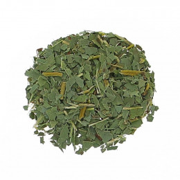 Eucalyptus BIO