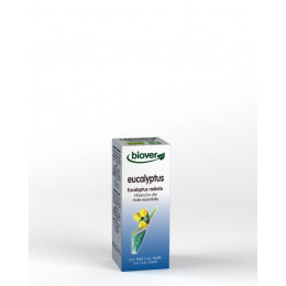Huile essentielle Eucalyptus radiata - feuille Bio 10 ml