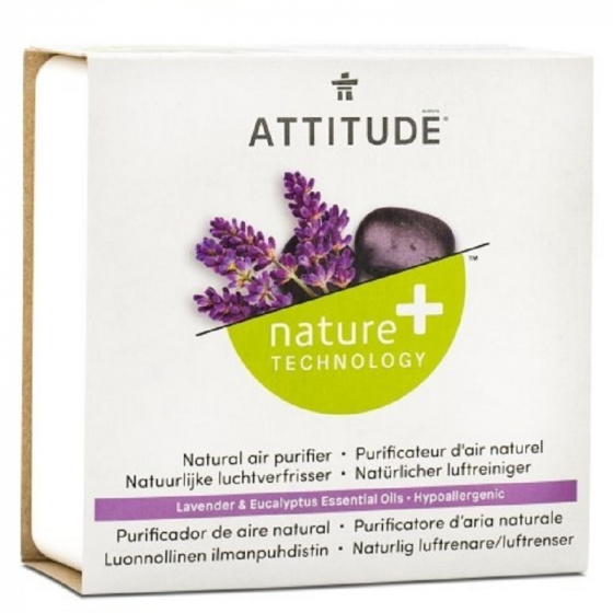 Purificateur d'air Naturel Eucalyptus et Lavande 