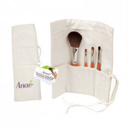 Trousse de maquillage avec 4 brosses et pinceaux
