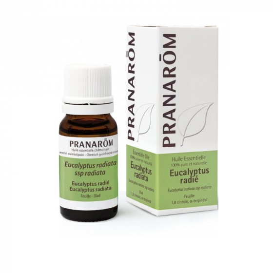 Huile essentielle d'Eucalyptus radiata 10 ml Huile essentielle d'Eucalyptus radiata 10 ml