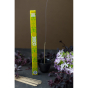 JAPANESE INCENSE - DISCOVERY RANGE - Cederhout - Aromandise