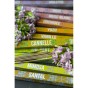 JAPANESE INCENSE - DISCOVERY RANGE - Kaneel - Aromandise
