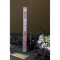 JAPANESE INCENSE - DISCOVERY RANGE - Witte muskus - Aromandise