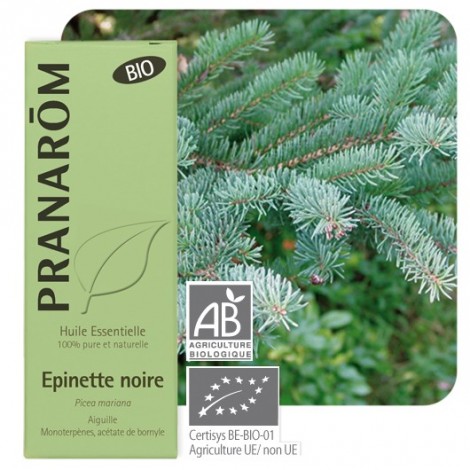 Zwarte den essentiële olië BIO