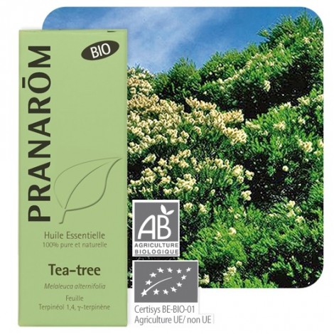 Tea-Tree essentiële olië BIO
