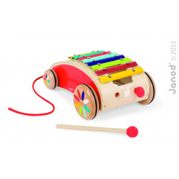 Xylo roller "Tatoo" - vanaf 18 maanden