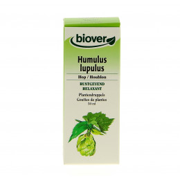 Humulus lupulus - Hop - Moedertinctuur