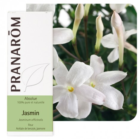 Pranarôm - olie van Jasmijn - Sebio