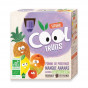 CoolFruit's: Appel-Mango-Ananas 4 pack