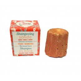 Solide kerstshampoo - Appelsien, kaneel en steranijs