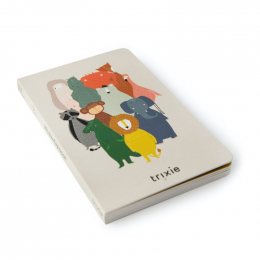 Flapjesboek