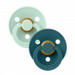 Set van 2 BIBS tutjes - Nordic mint & Forest lake