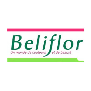 Beliflor