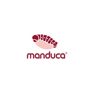 Manduca
